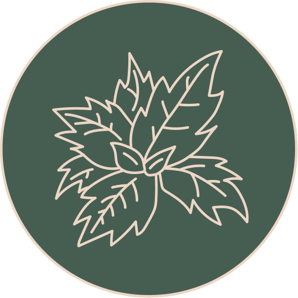 Busuioc