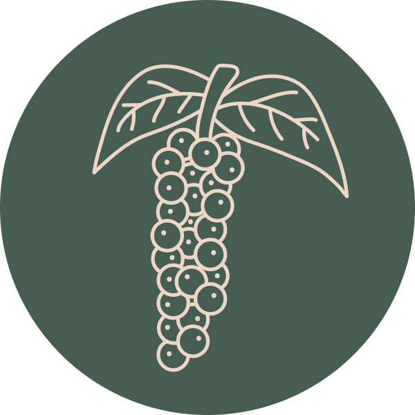 Black Pepper