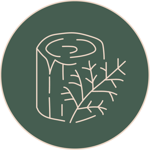Cedarwood