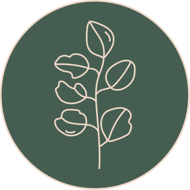 Eucalyptus