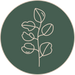 Eucalyptus