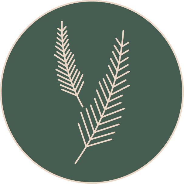 Fir needle