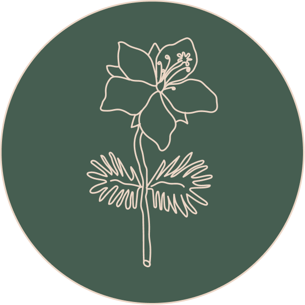 Garoafă