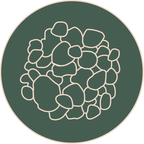 Olibanum