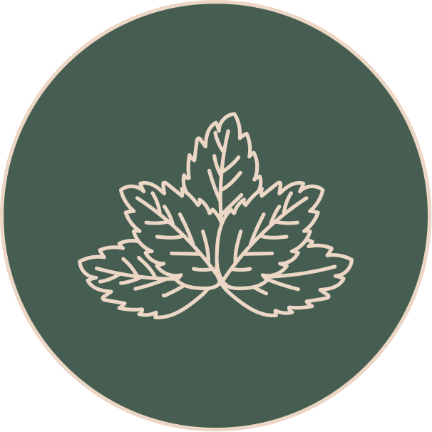 Peppermint