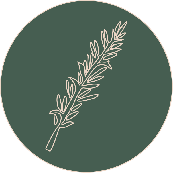 Rozmarin
